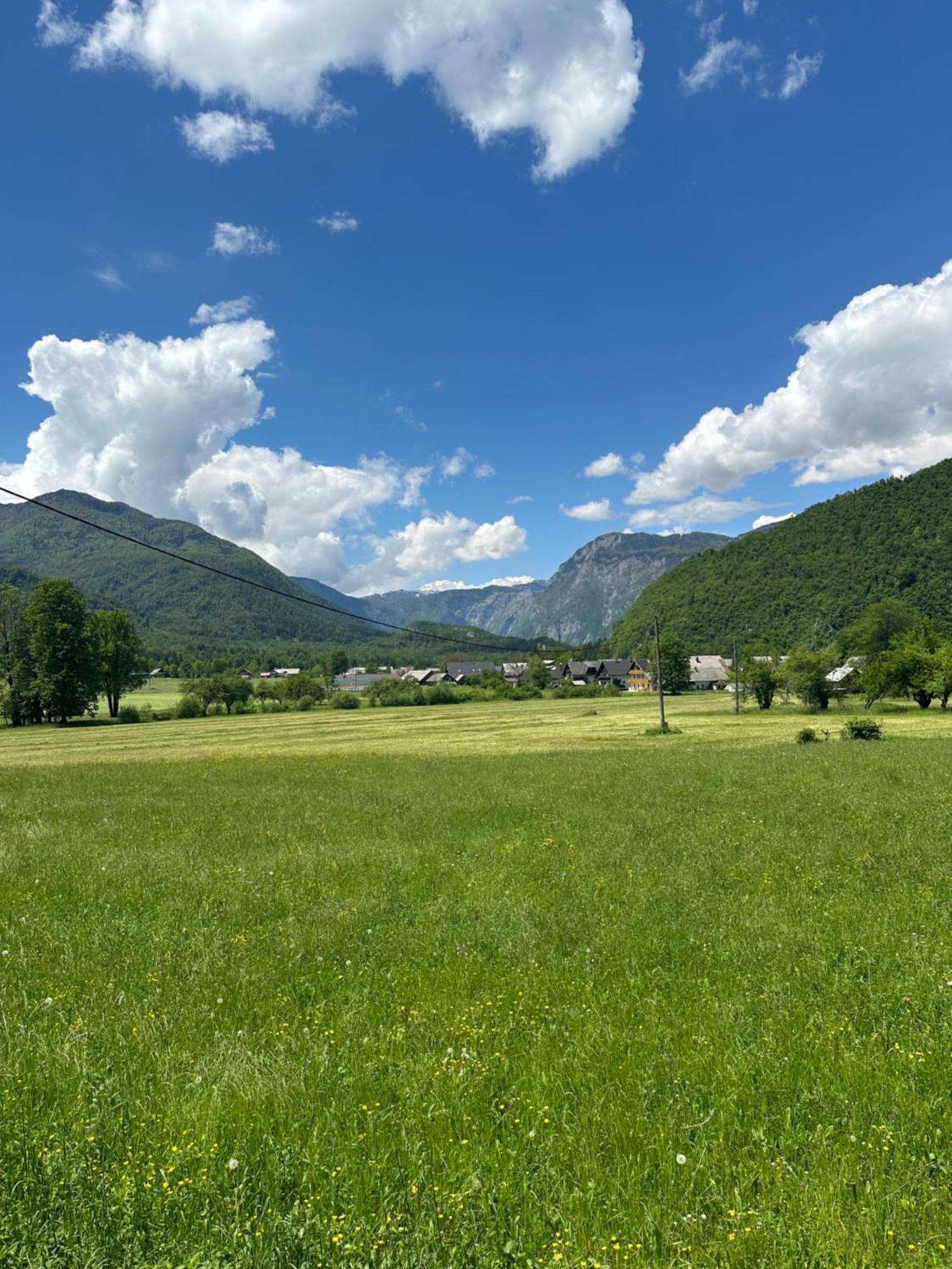 Barbara Appartamento Bohinj