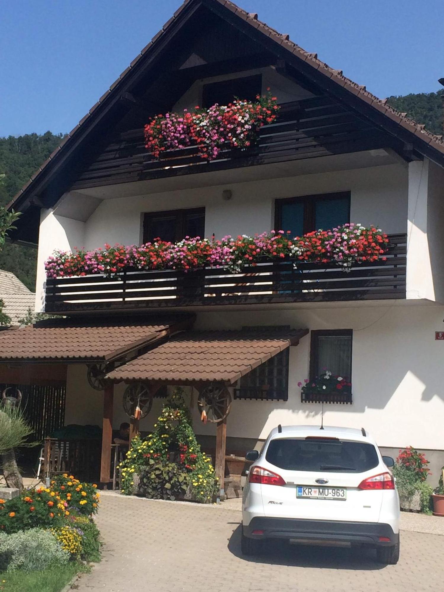 Barbara Appartamento Bohinj